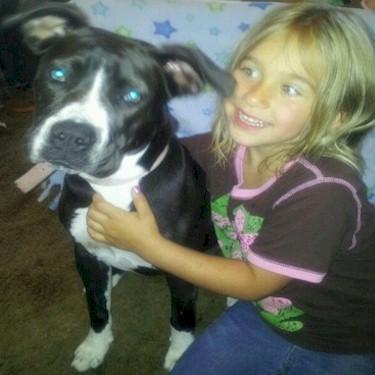 media/Youngbloods Zena Front Pit Bull.jpg